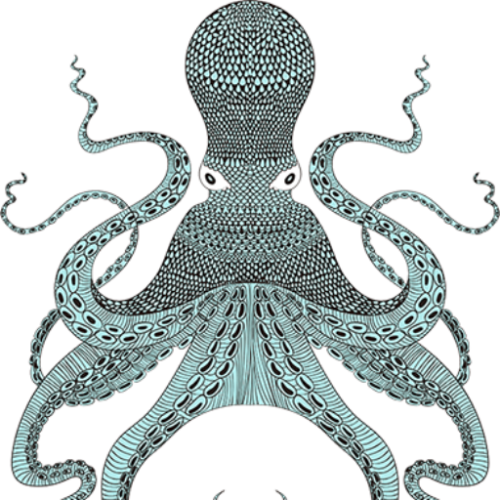 cropped-octopus-500x500.png